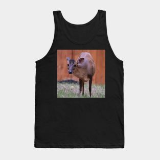 Reeve's Muntjac Tank Top